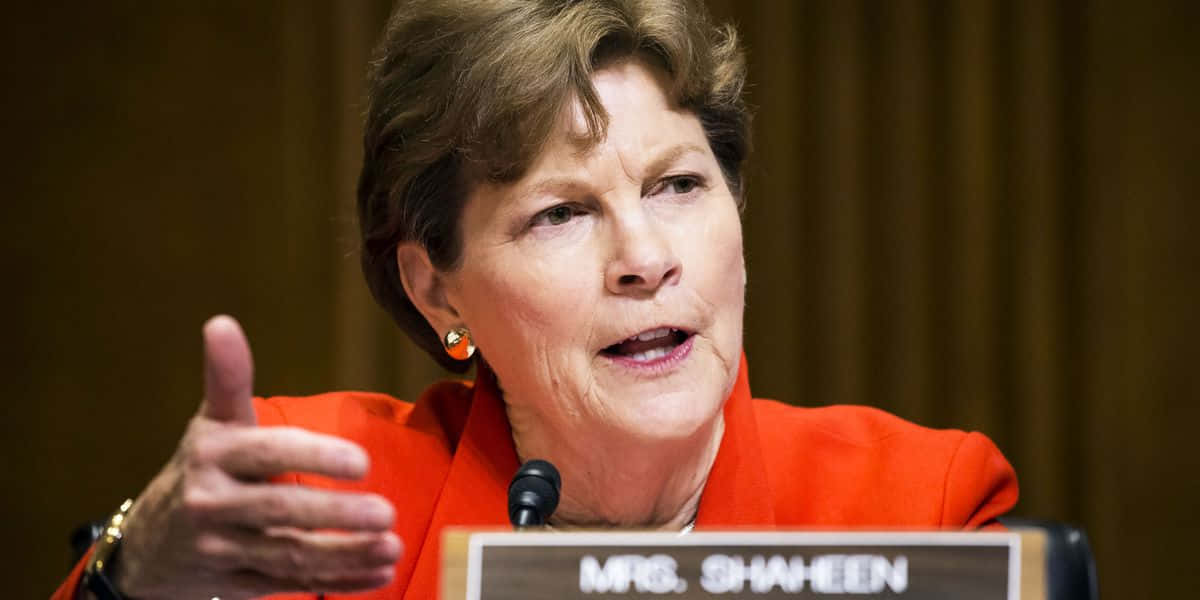 Jeanne Shaheen Wearing Orange Wallpaper