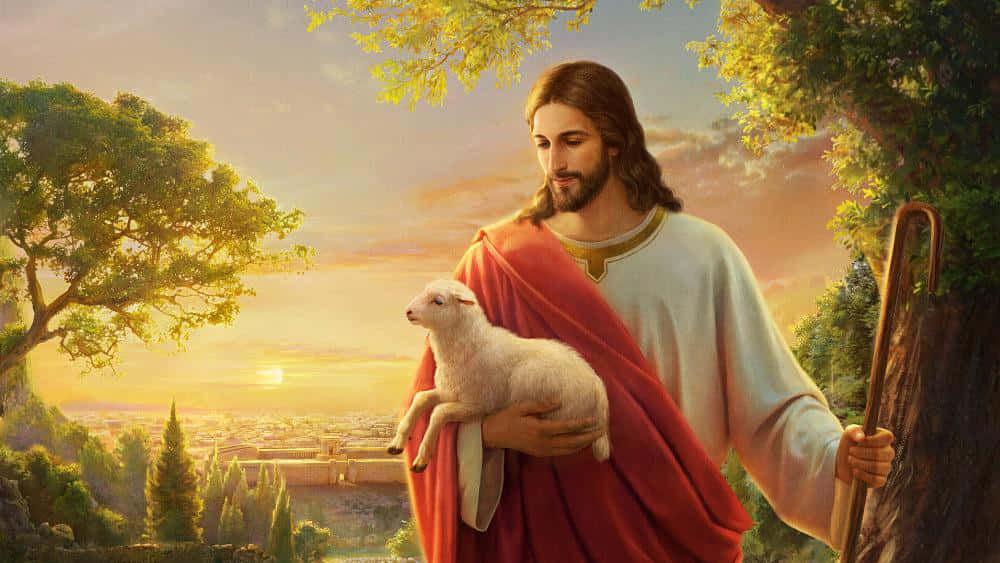 Jesus Christ Lovingly Guiding His Sheep Wallpaper