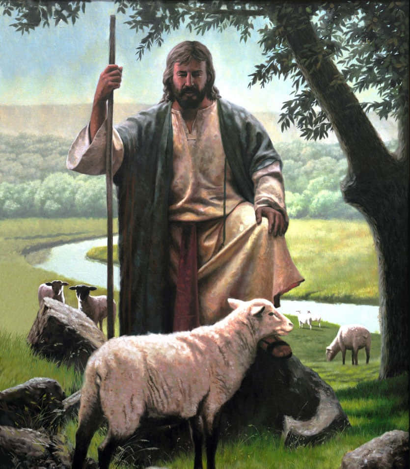 Jesus Lovingly Embracing A Sheep Wallpaper