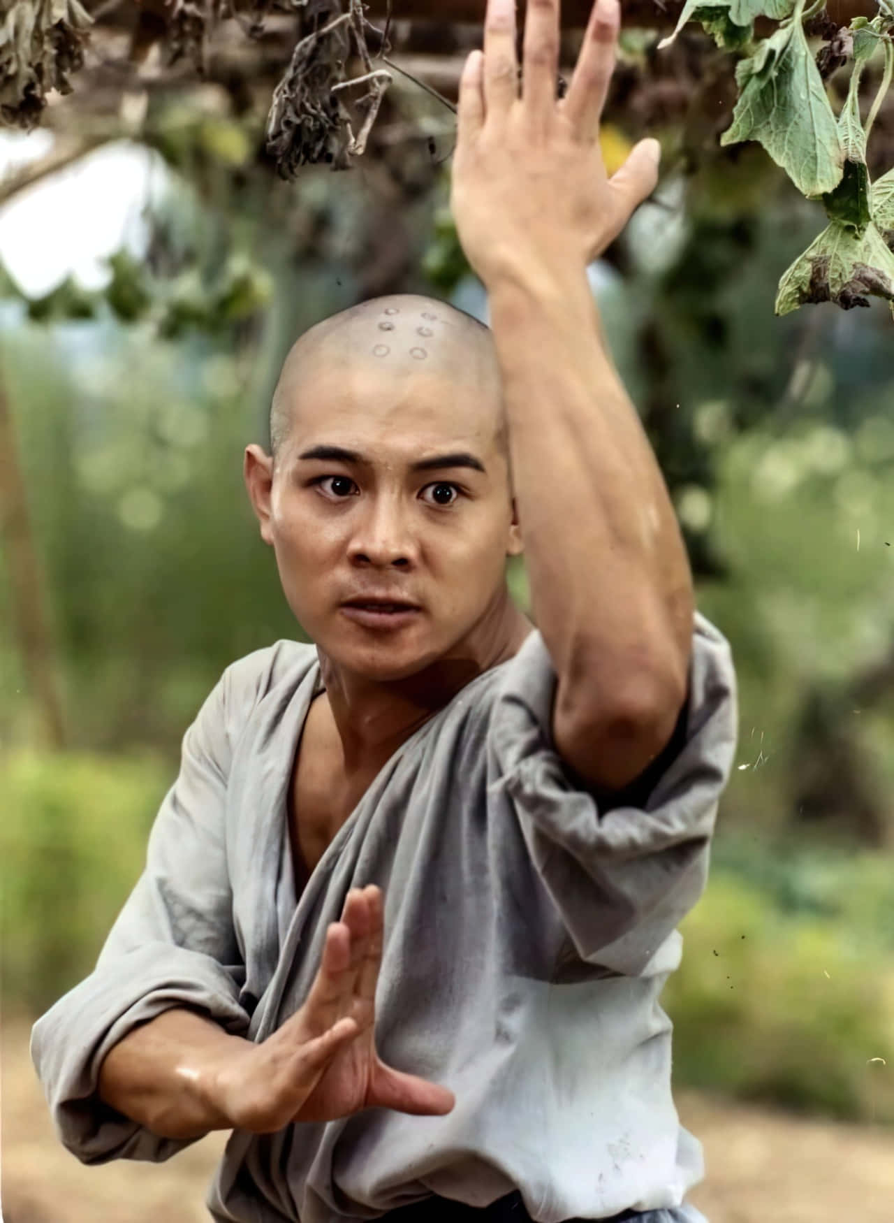 Jet Li 1280 X 1750 Wallpaper