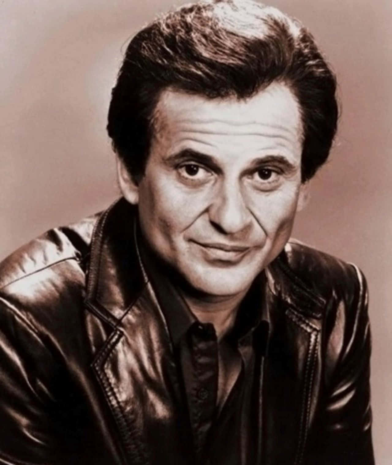 Joe Pesci Classic Portrait Wallpaper