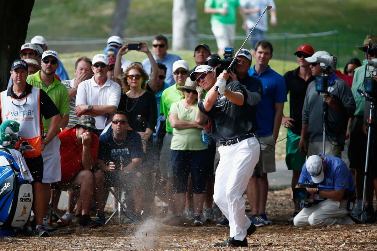 John Senden And Spectators Wallpaper