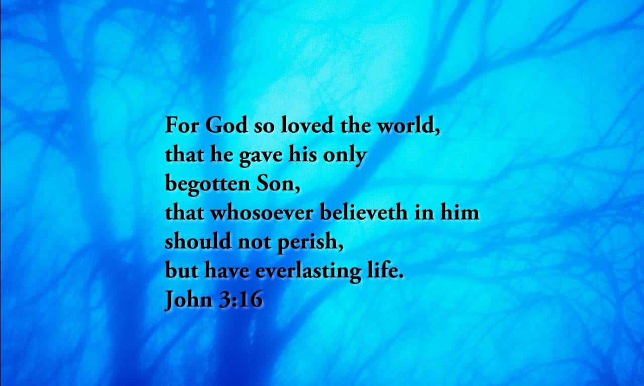 John316 Bible Verse Background Wallpaper