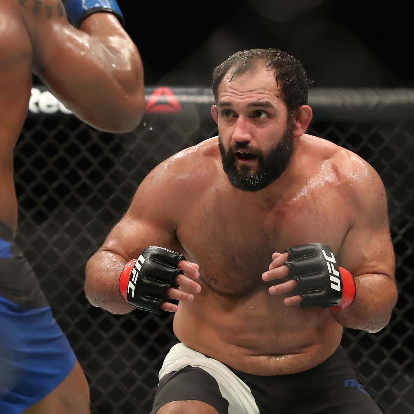 Johny Hendricks Evasive Stance Wallpaper