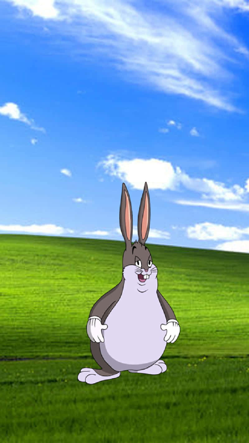 Join Big Chungus And Hop On The Fun Ride! Wallpaper