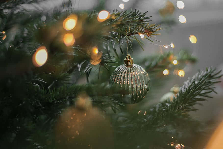 Join The Magic Of Christmas Night Wallpaper