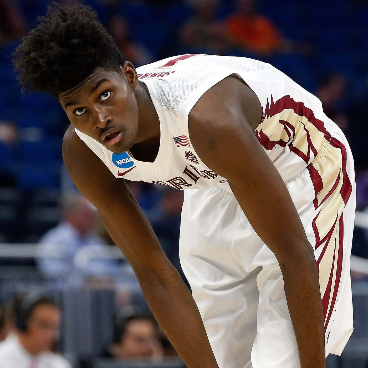 Jonathan Isaac Bending Below Wallpaper