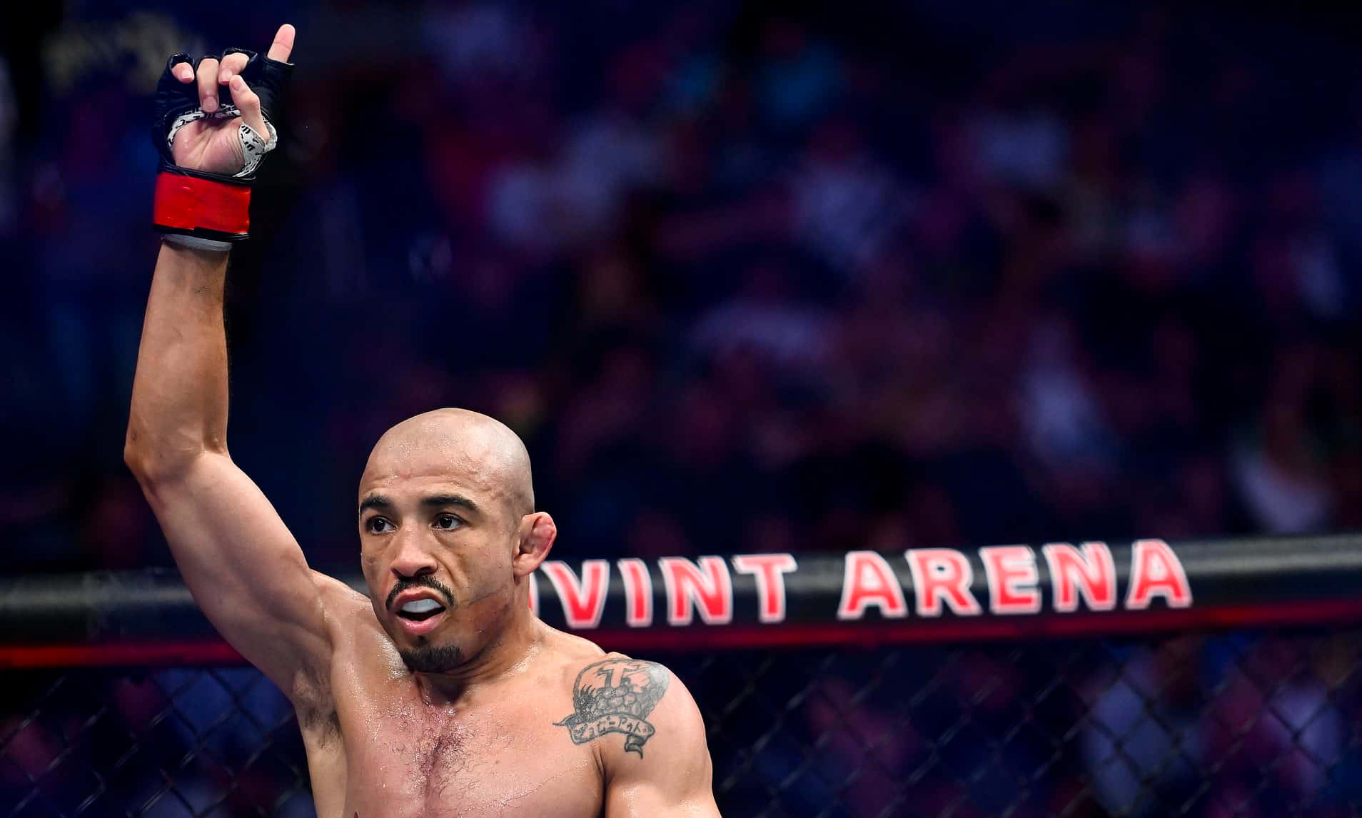 Jose Aldo At Vivint Arena Wallpaper