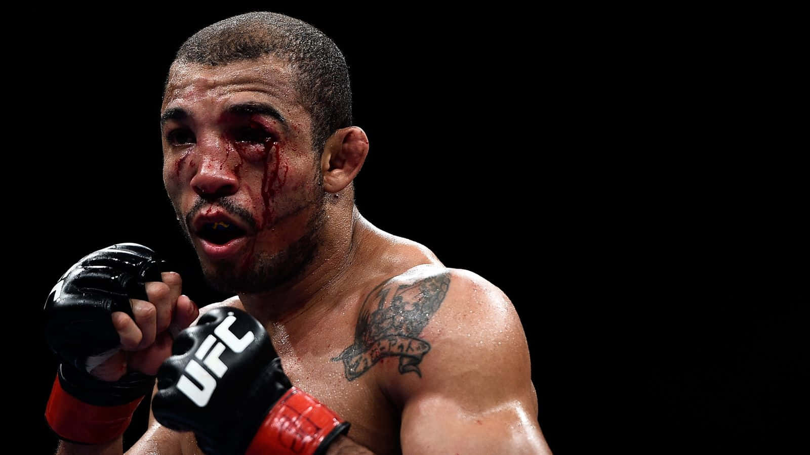 Jose Aldo Bleeding Eyes Wallpaper