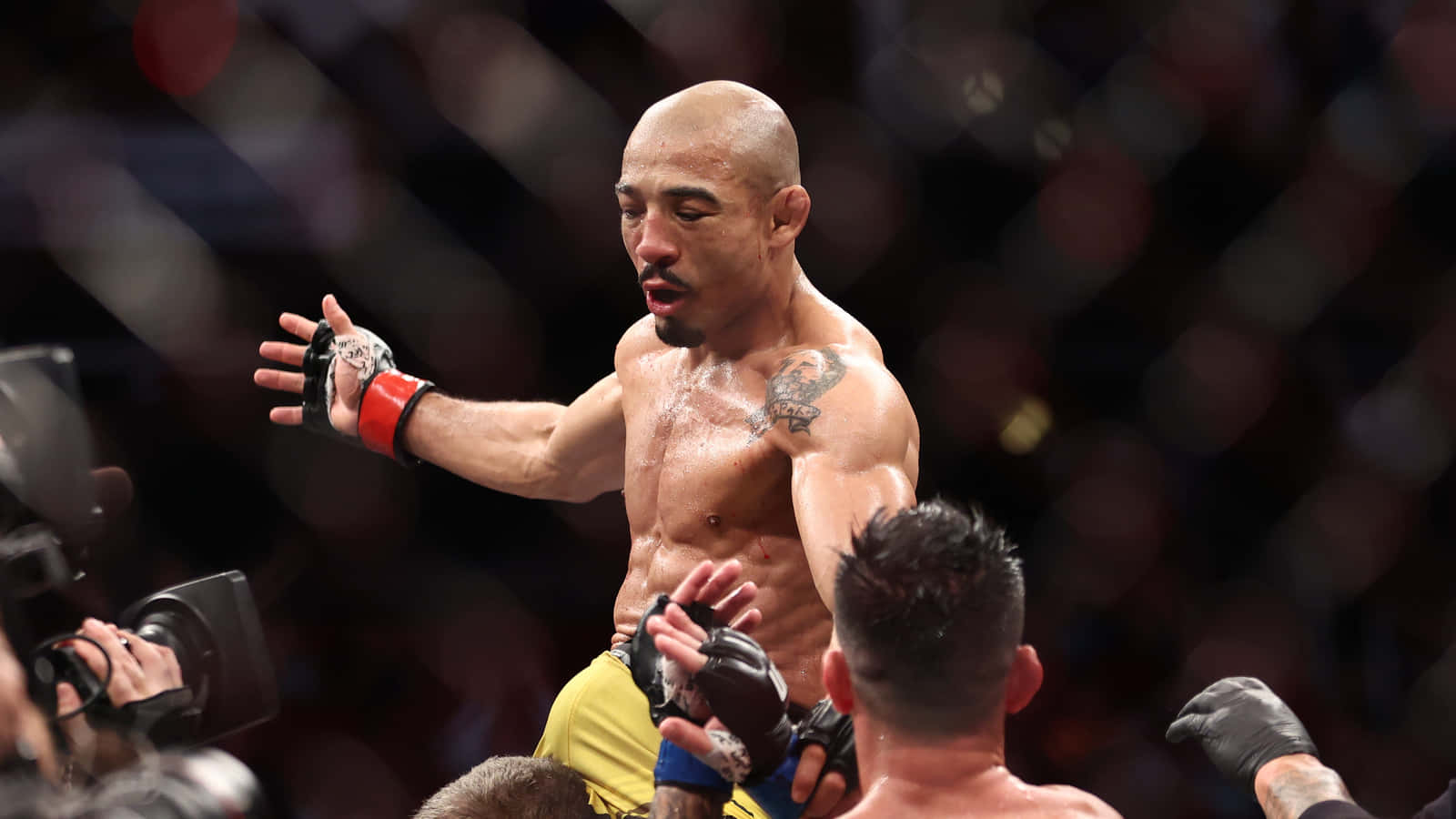 José Aldo Ufc Champ Wallpaper