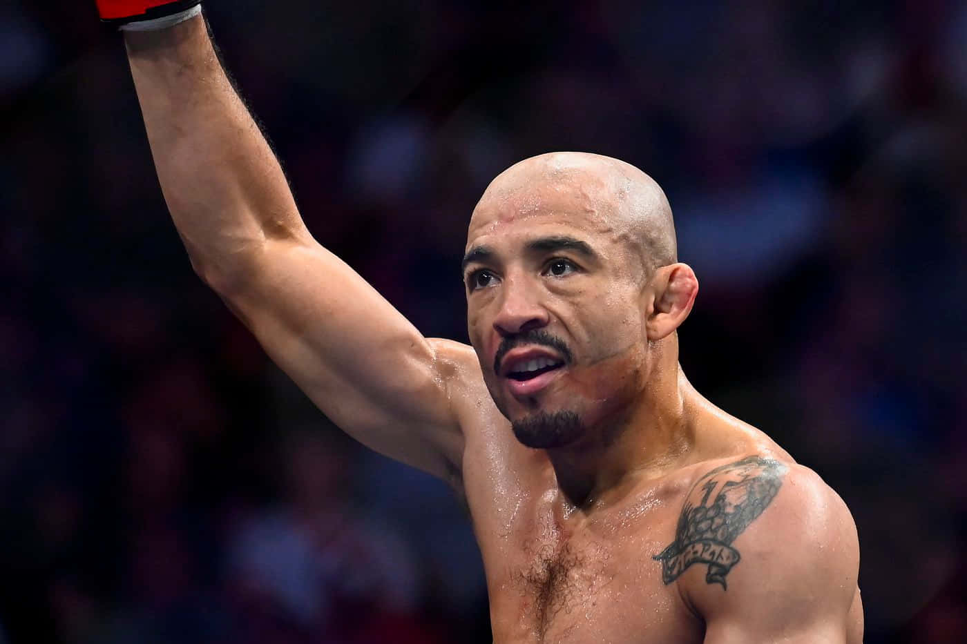 José Aldo Ufc Legend Wallpaper