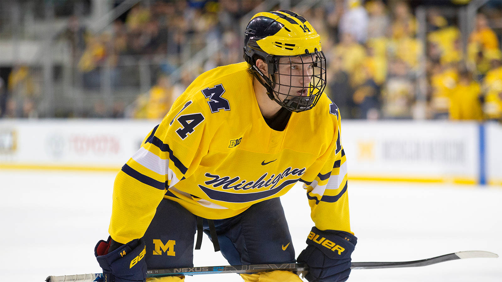 Josh Norris University Of Michigan Ice Hockey Roster Wallpaper