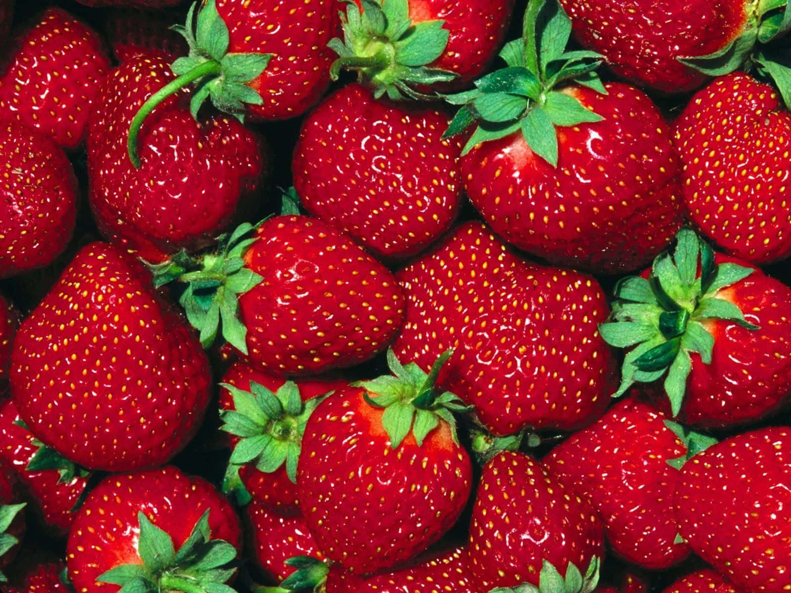 Juicy And Colorful Cute Strawberry Wallpaper