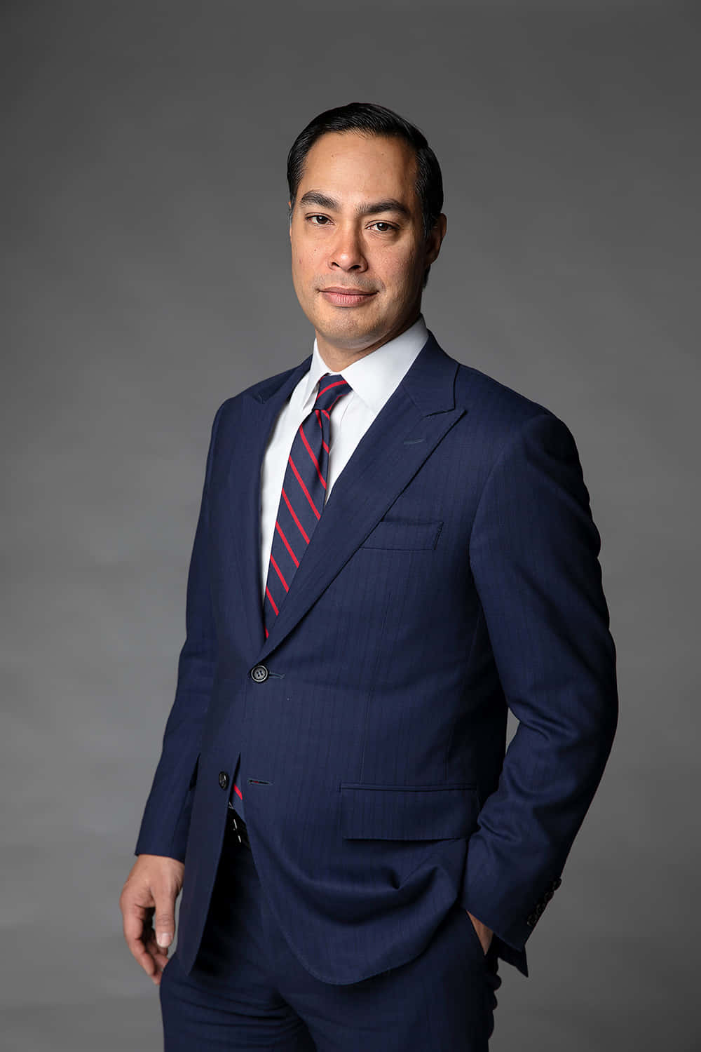 Julian Castro Gray Portrait Wallpaper