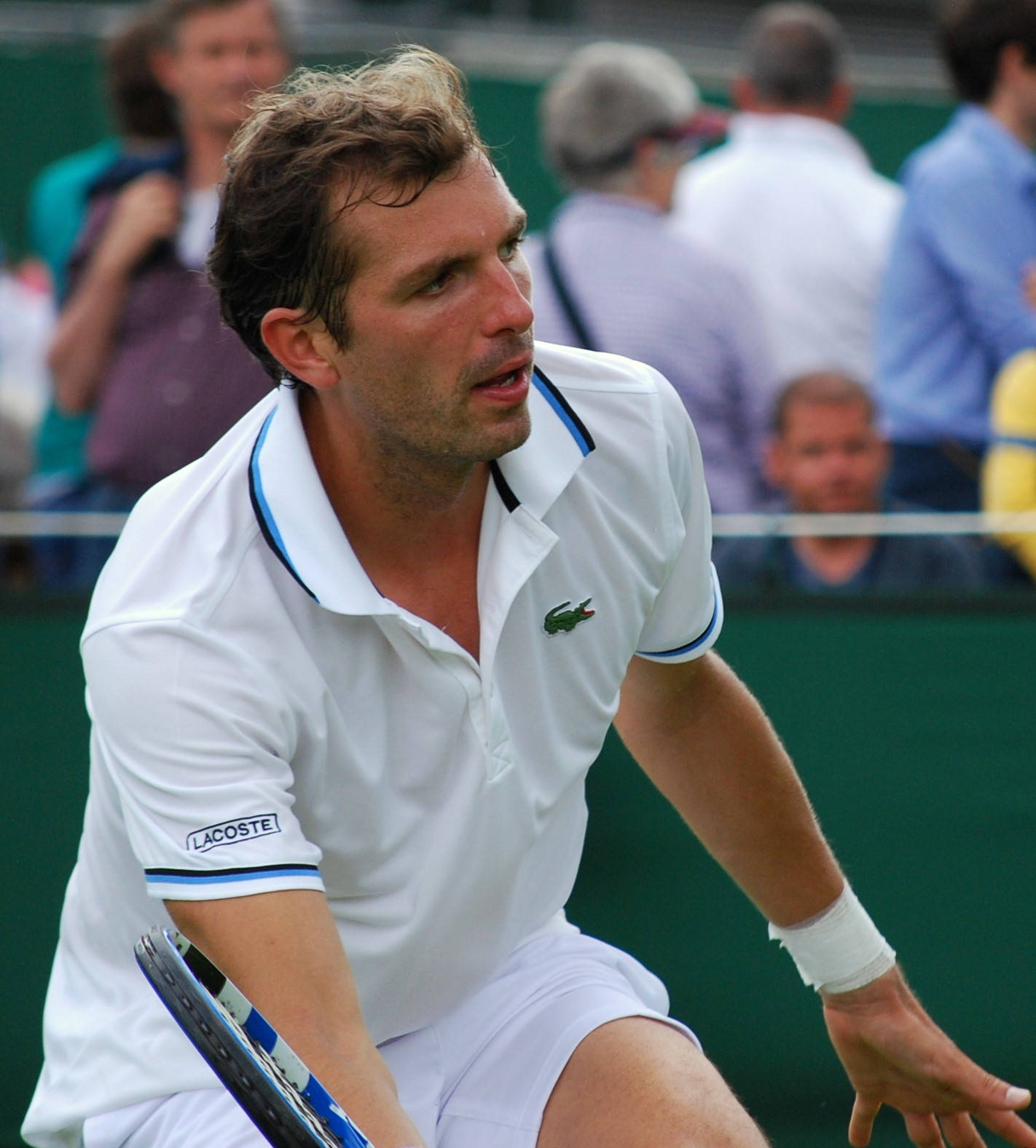 Julien Benneteau Doing A Forehand Volley Wallpaper