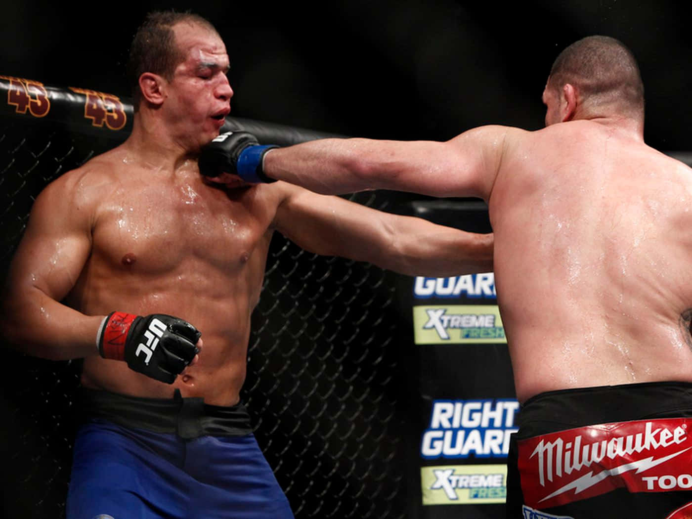 Junior Dos Santos Cain Velasquez Fight Wallpaper