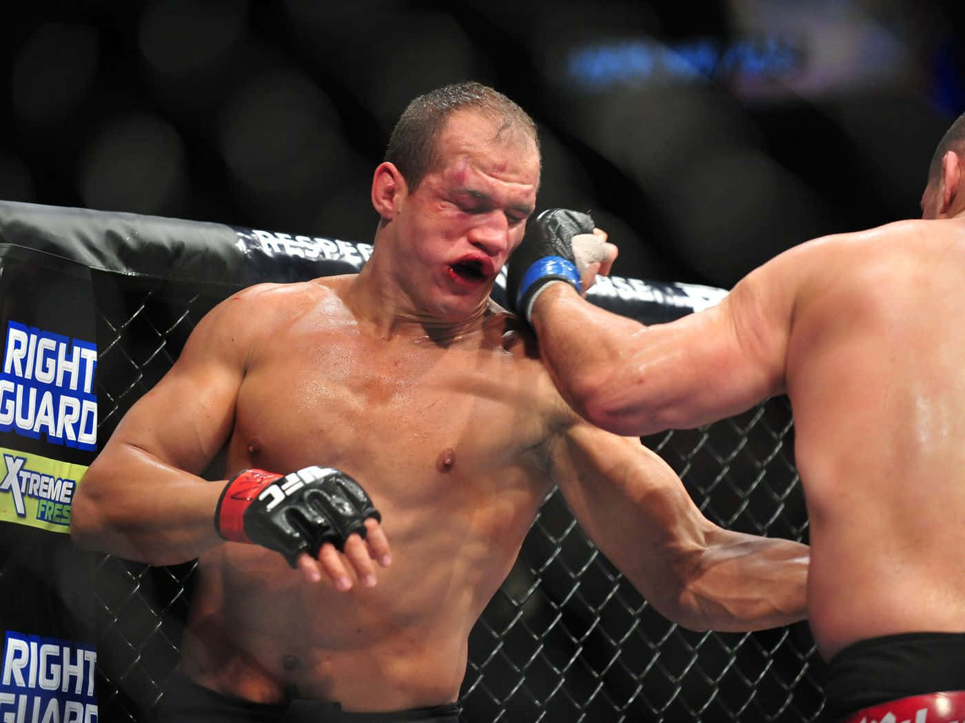 Junior Dos Santos Knockout Wallpaper