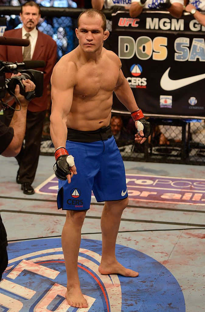 Junior Dos Santos Mgm Grand Garden Arena Wallpaper