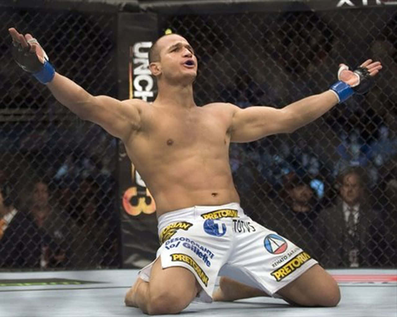 Junior Dos Santos Ufc Heavyweight Wallpaper