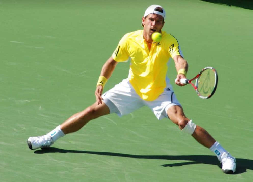 Jurgen Melzer In Almost-split Position Wallpaper