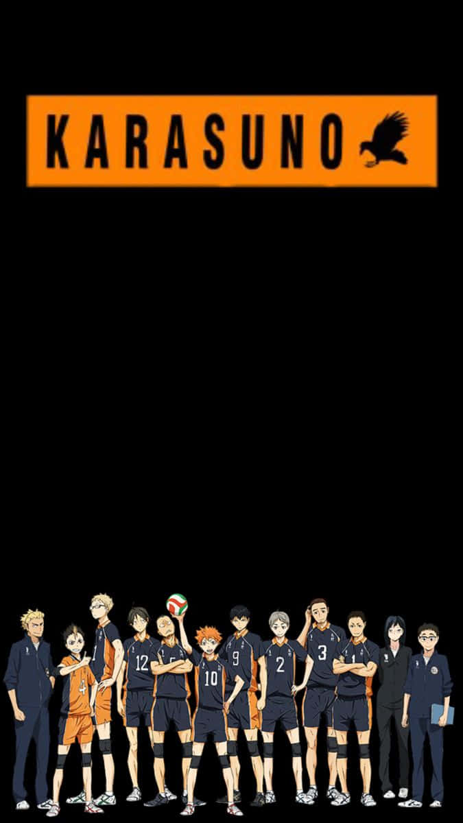 Karasuno High Volleyball Team Haikyuu Wallpaper