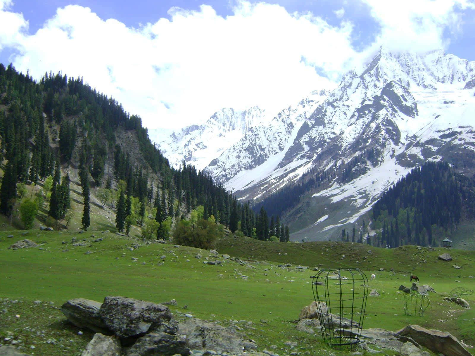 Kashmir_ Valley_ Mountain_ View Wallpaper