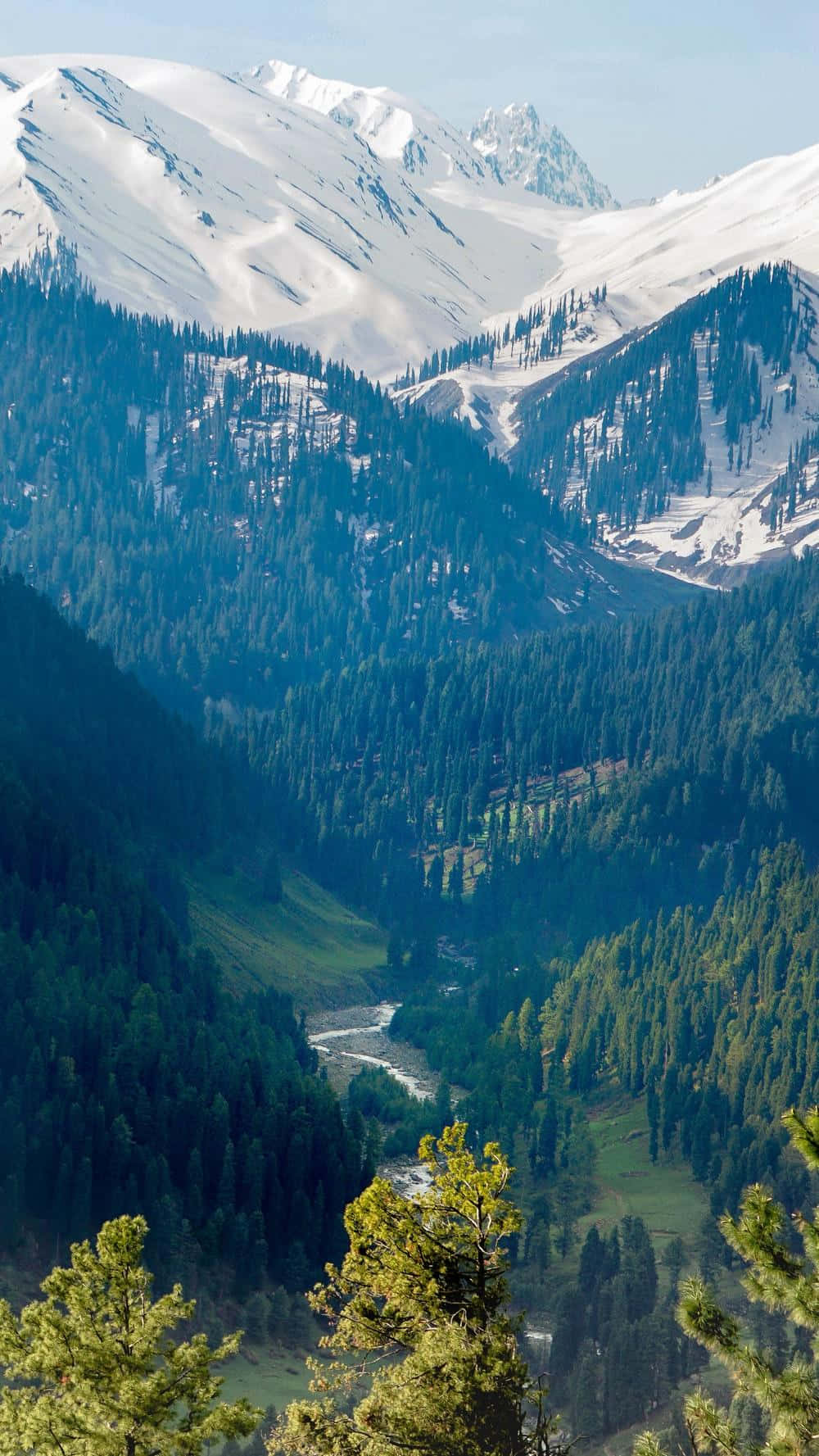 Kashmir_ Valley_ Snowcapped_ Mountains Wallpaper