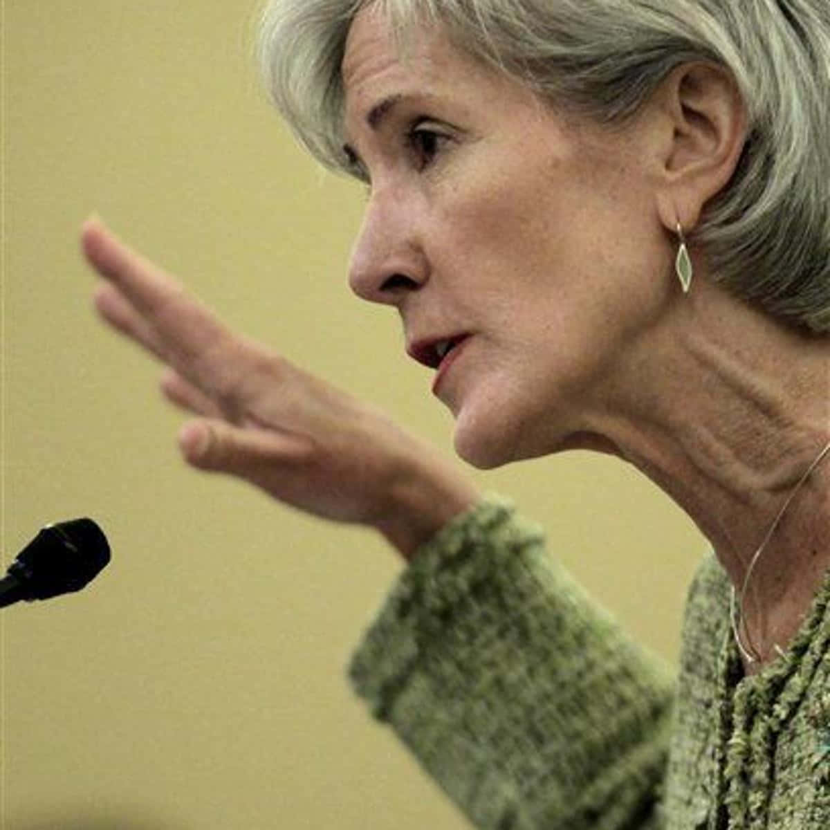 Kathleen Sebelius Delivering A Speech Wallpaper