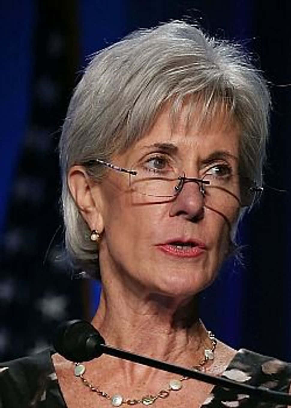 Kathleen Sebelius Giving A Speech About Healthcare Reform Wallpaper