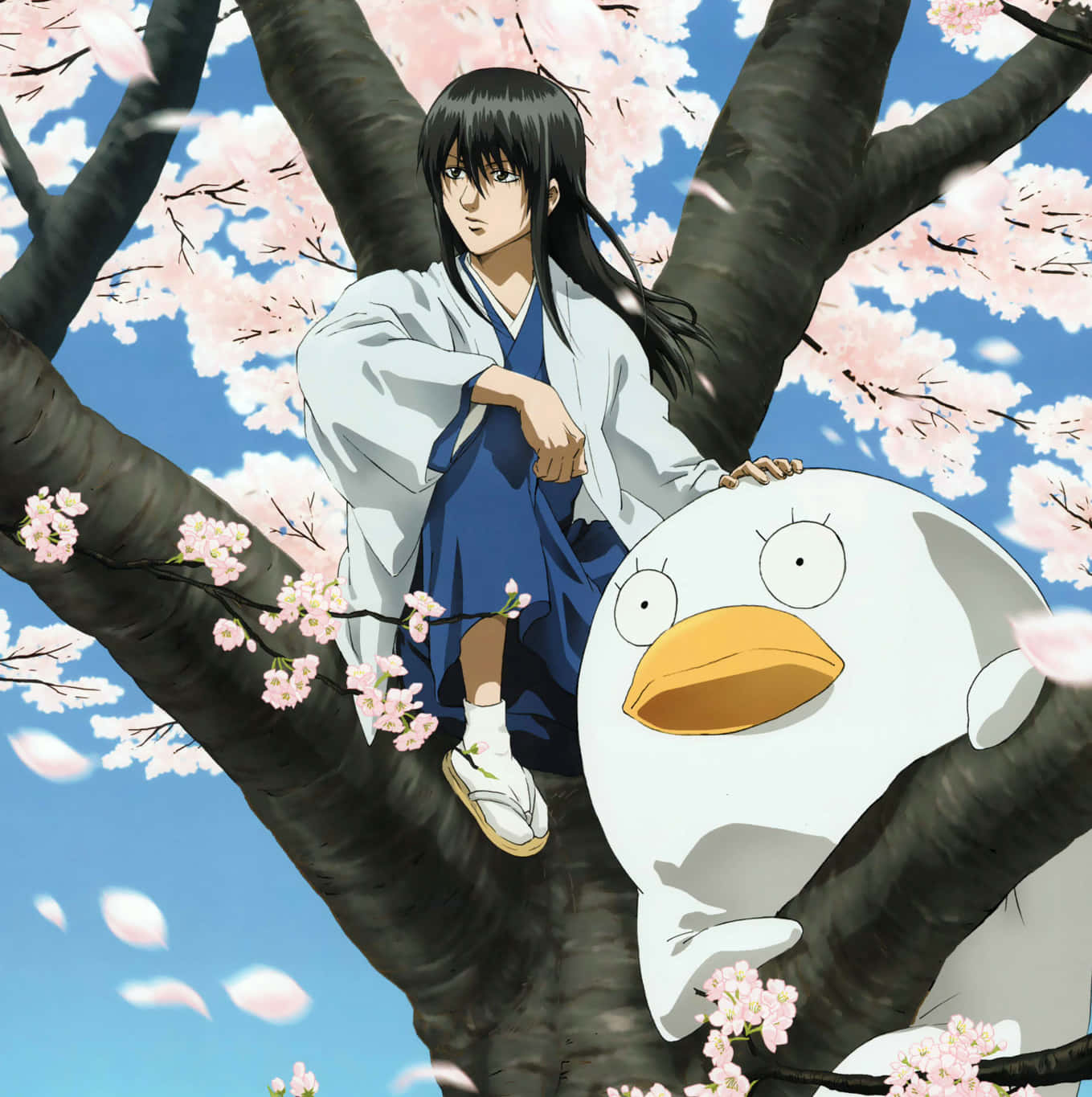 Katsura_and_ Elizabeth_ Under_ Cherry_ Blossoms Wallpaper