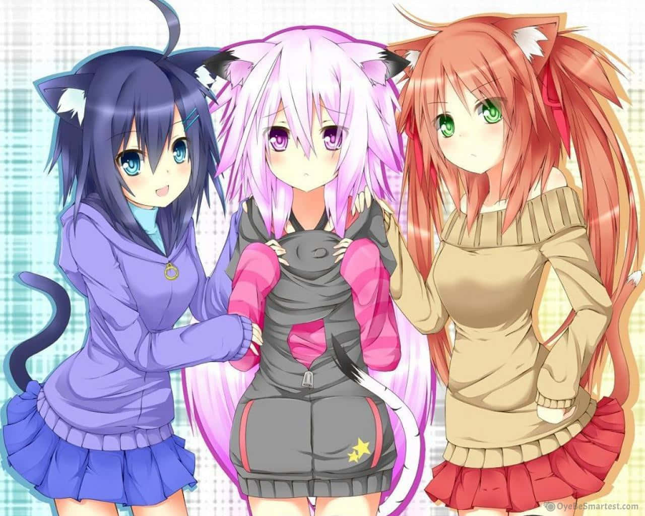 Kawaii Cute Anime Triplets Cat Girl Wallpaper