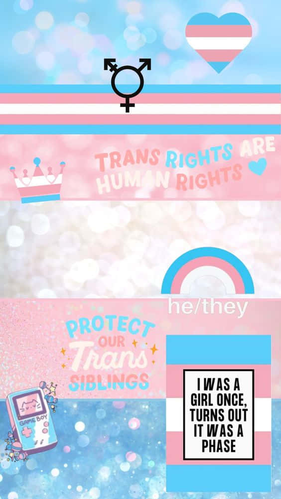 Keep Your Conversations Secure With Trans Phone Wallpaper