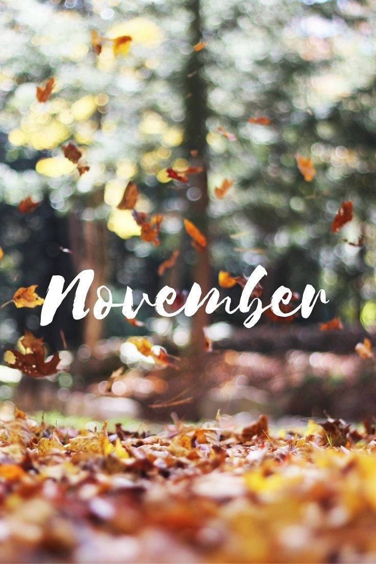 Keep Your Device Updated With November Iphone Wallpaper Wallpaper