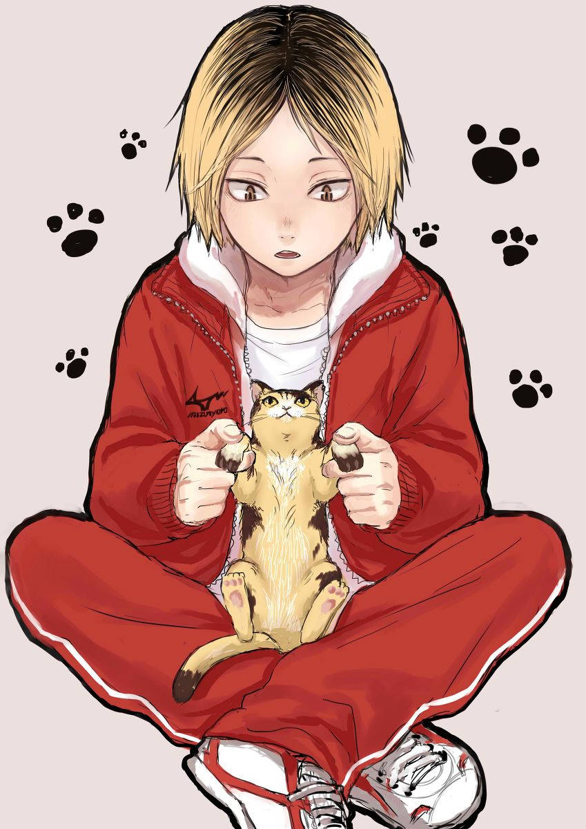 Kenma Kozume Cat Paw Print Wallpaper