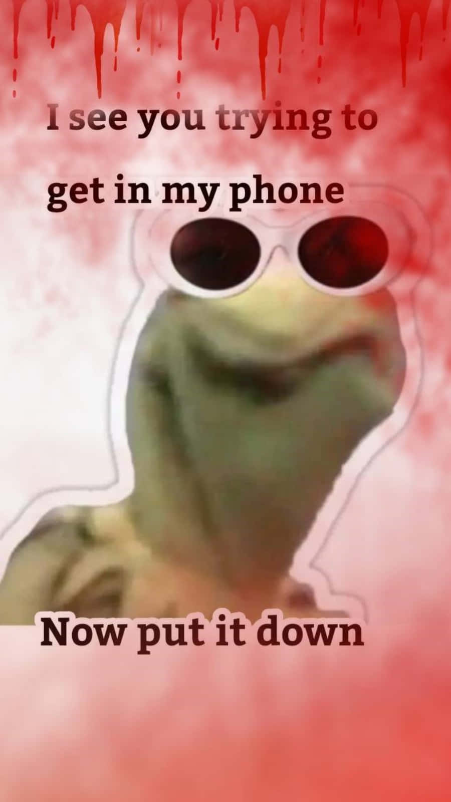 Kermit The Frog Put Down My Phone Savage Quotes Wallpaper