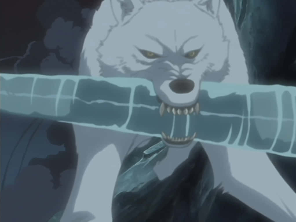 Kiba From Wolf's Rain In Front Of A Full Moon Wallpaper