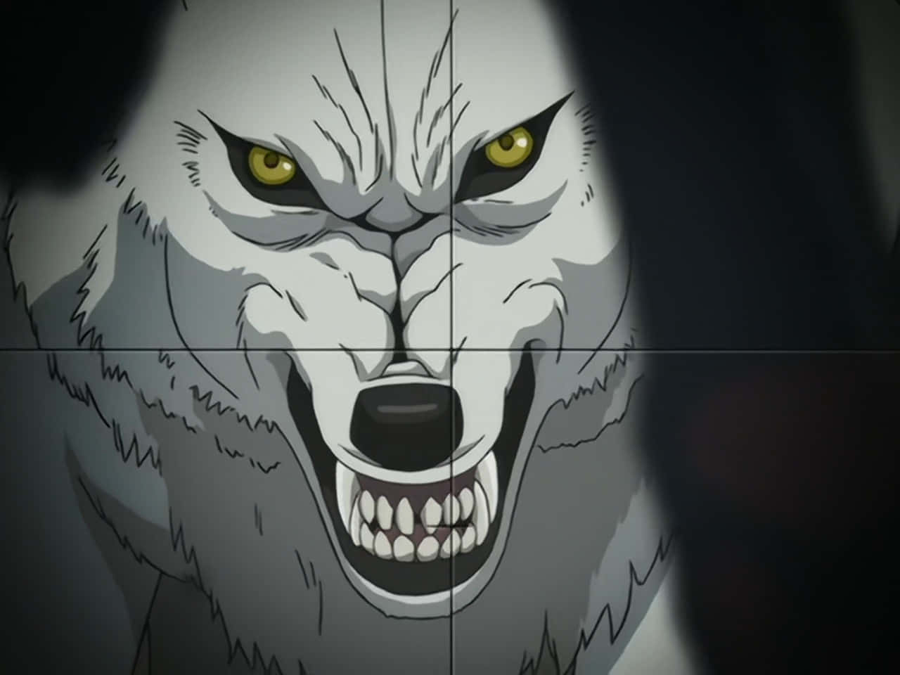 Kiba, The Majestic White Wolf From Wolf's Rain Anime Series Wallpaper