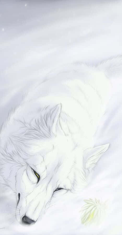 Kiba, The Noble White Wolf From Wolf's Rain Wallpaper