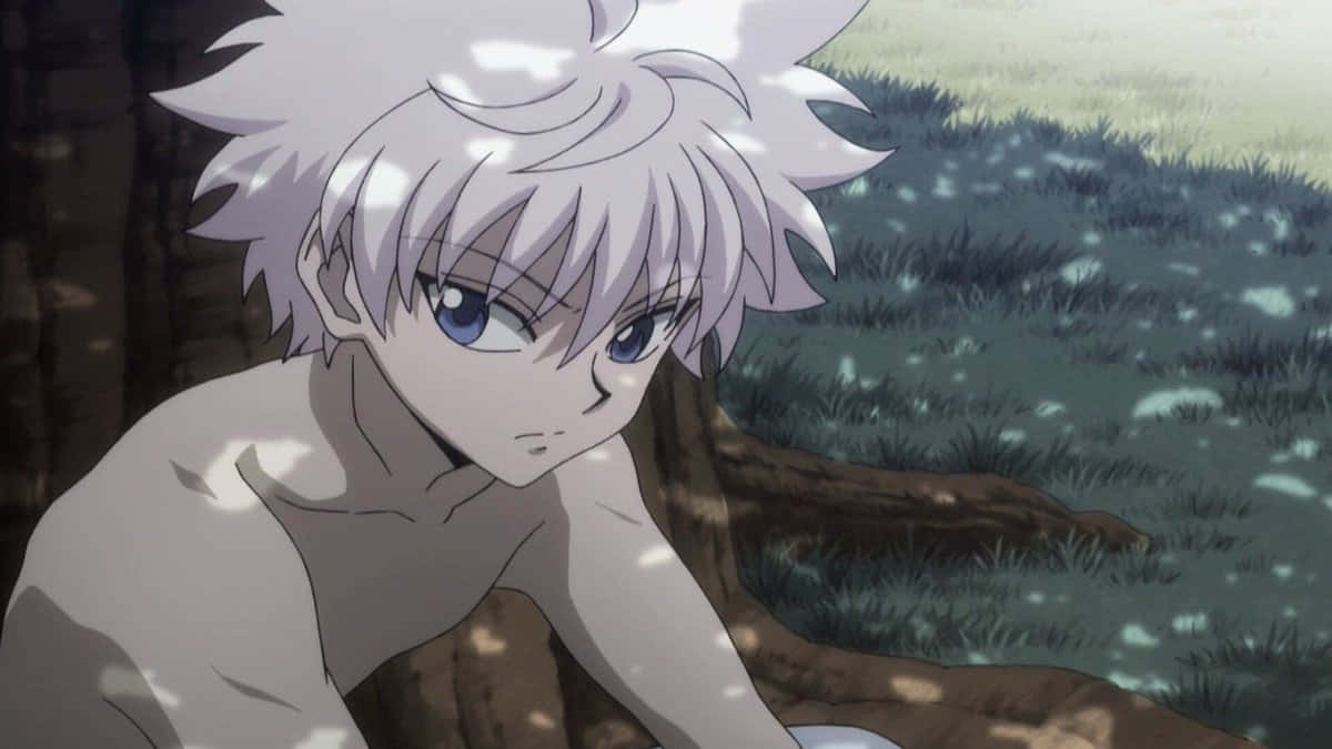 Killua Shirtless Hunter X Hunter Pfp Wallpaper