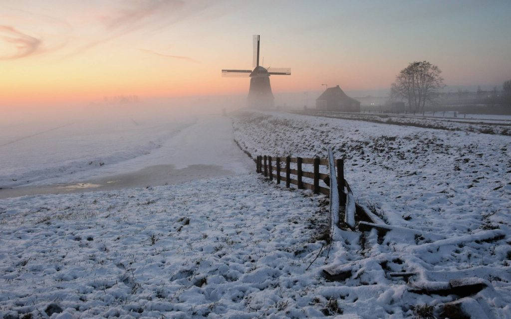 Kinderdijk Field Winter Desktop Wallpaper