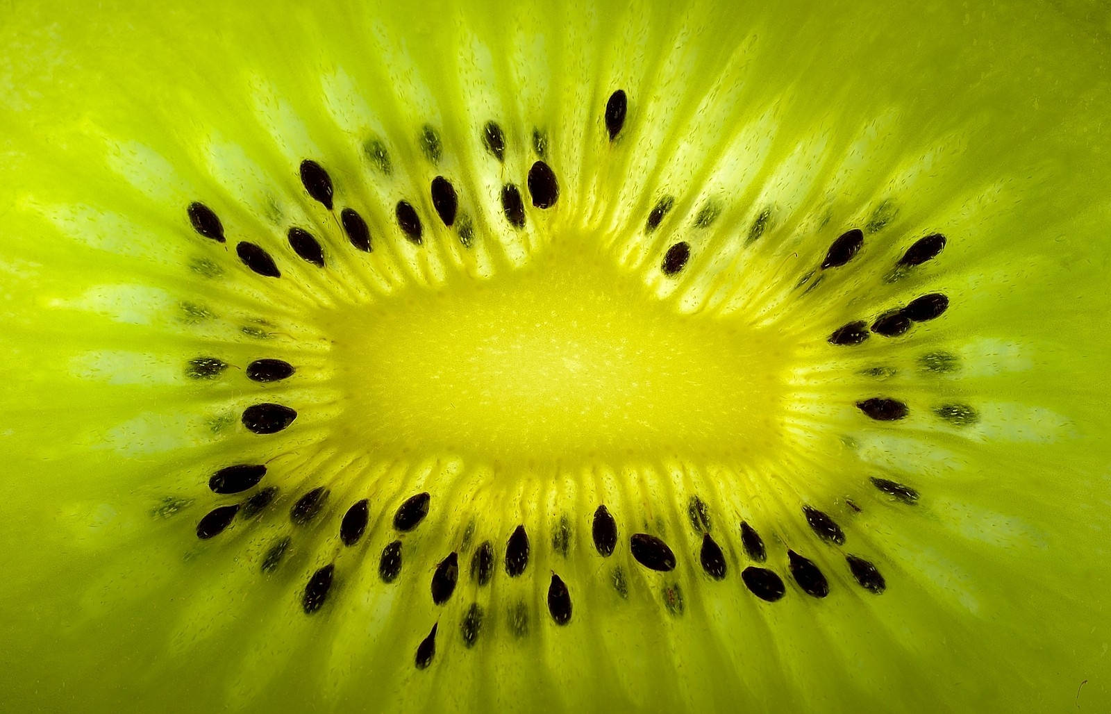 Kiwi Core Macro Wallpaper