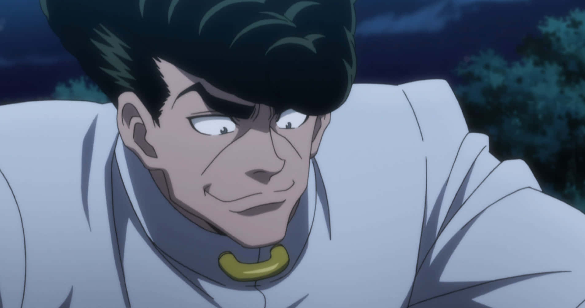 Knuckle Bine - A Skilled Emitter From Hunter X Hunter Anime Wallpaper