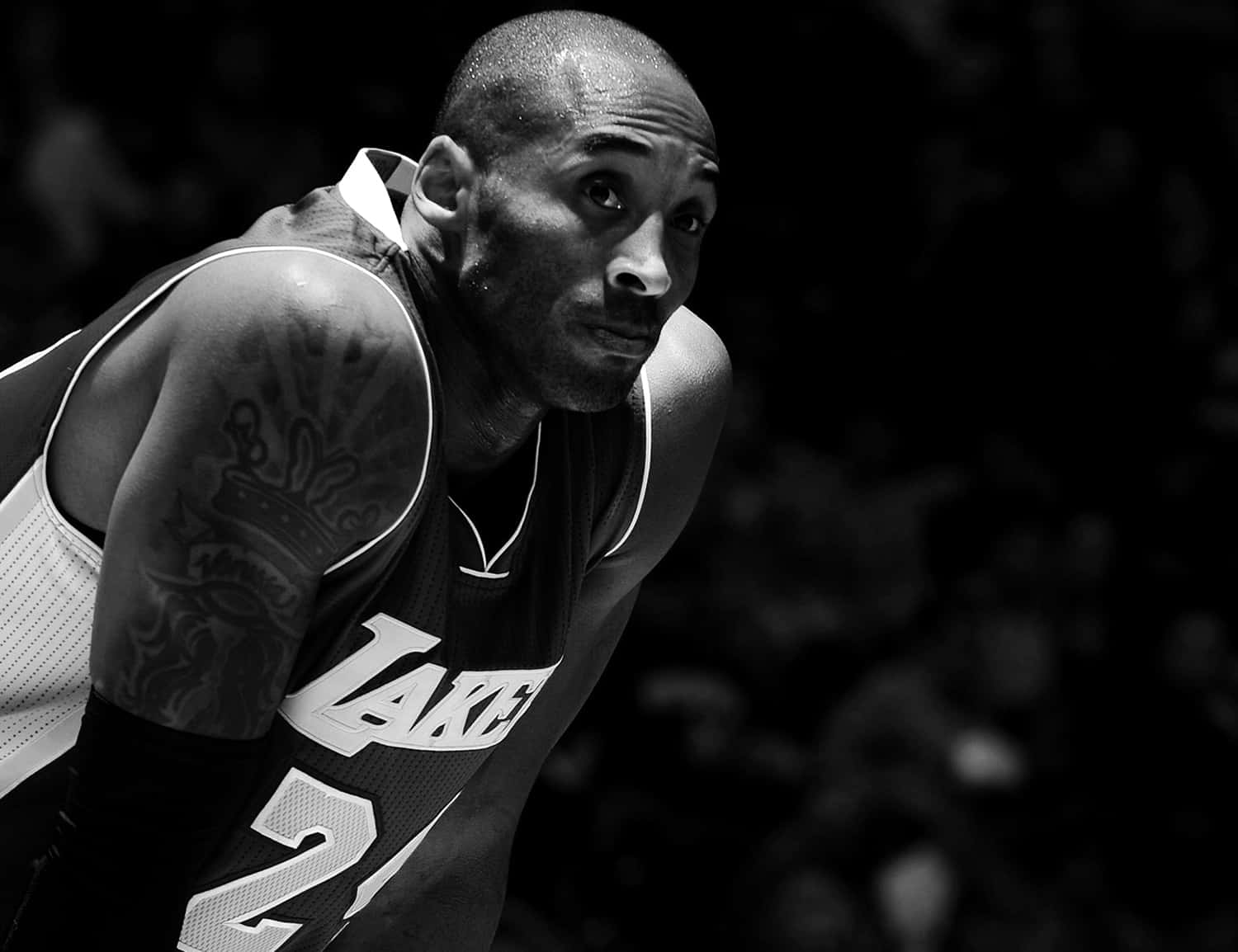 Kobe Bryant Intensity B W Wallpaper