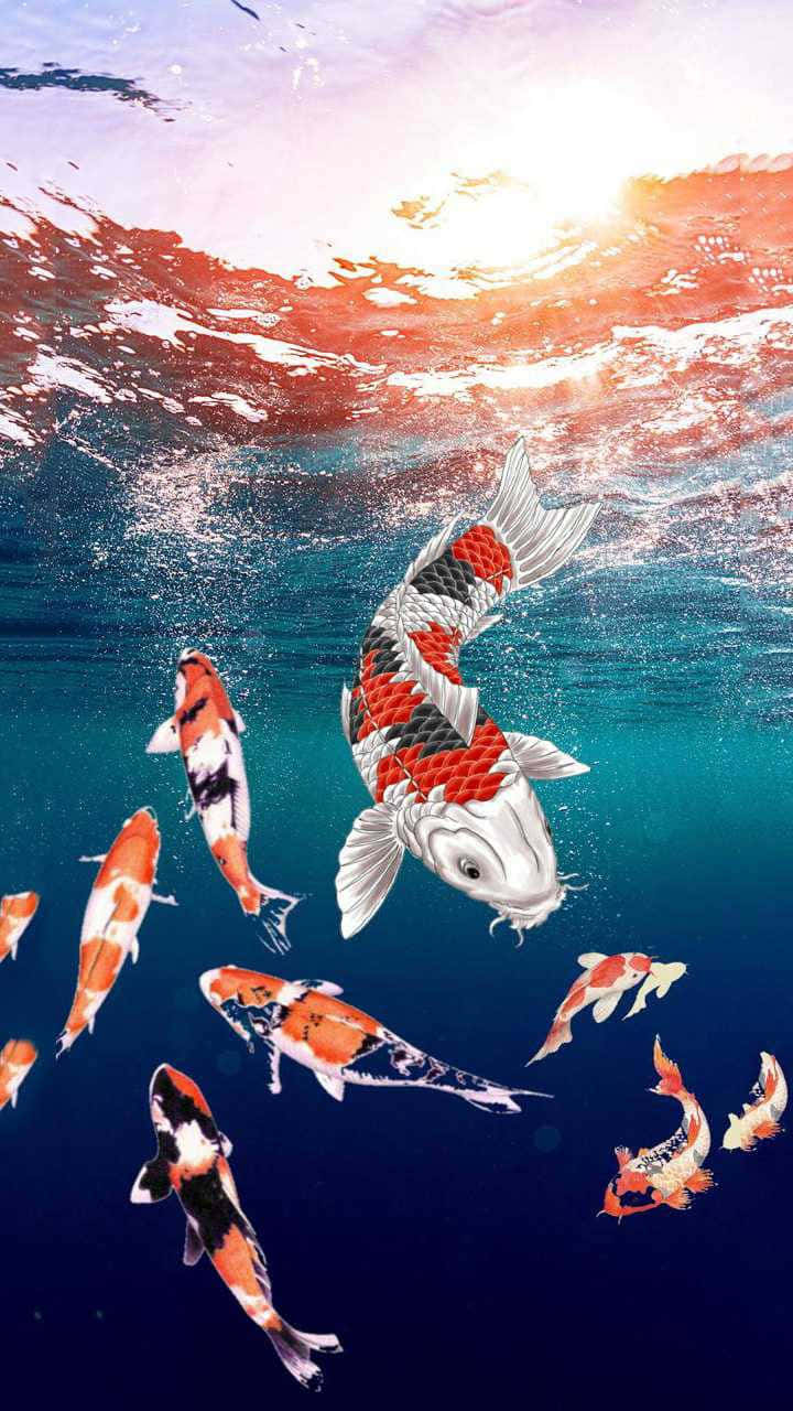 Koi_ Fish_ Underwater_ Symphony.jpg Wallpaper