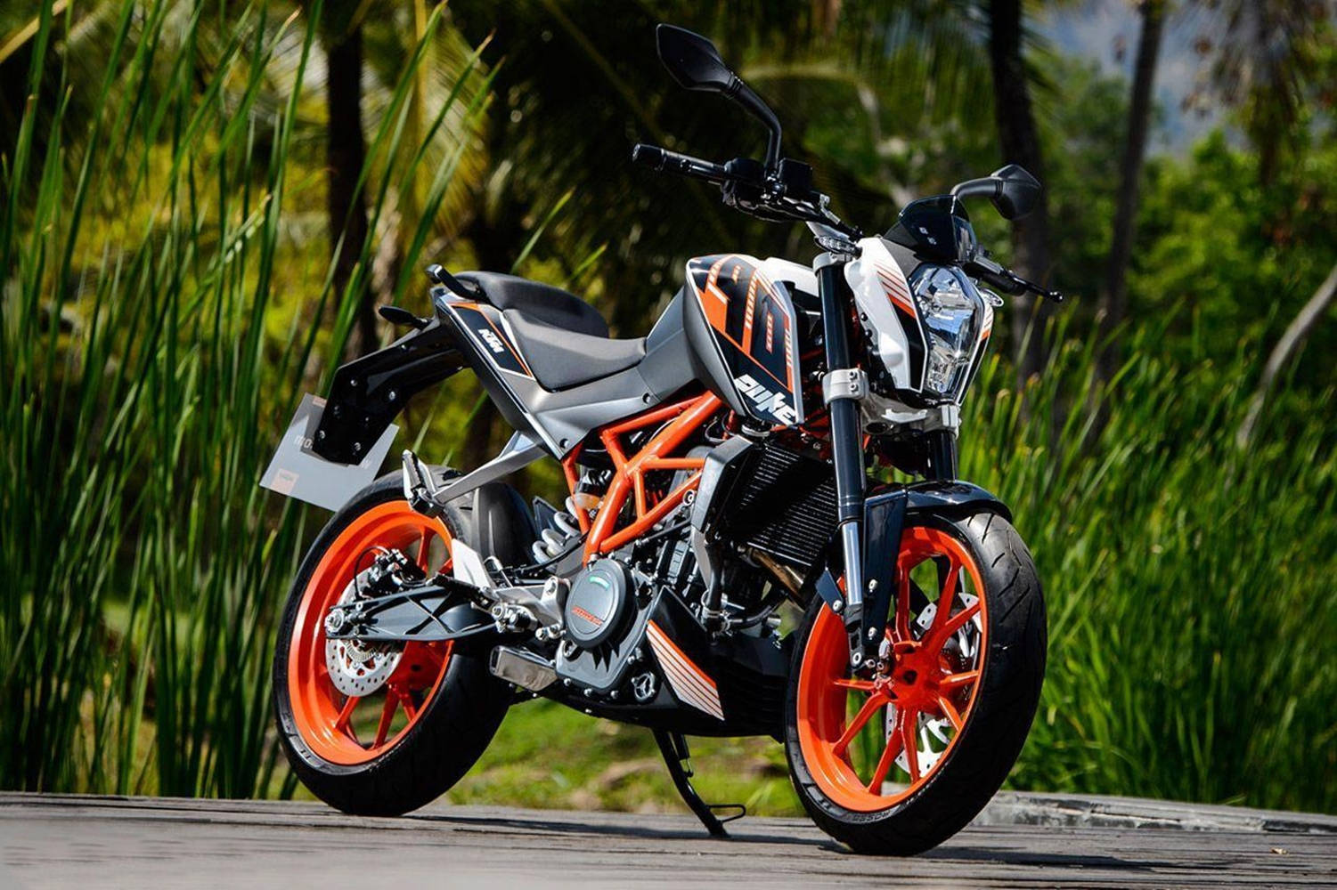 Ktm Duke 390 At Lush Greenery Wallpaper