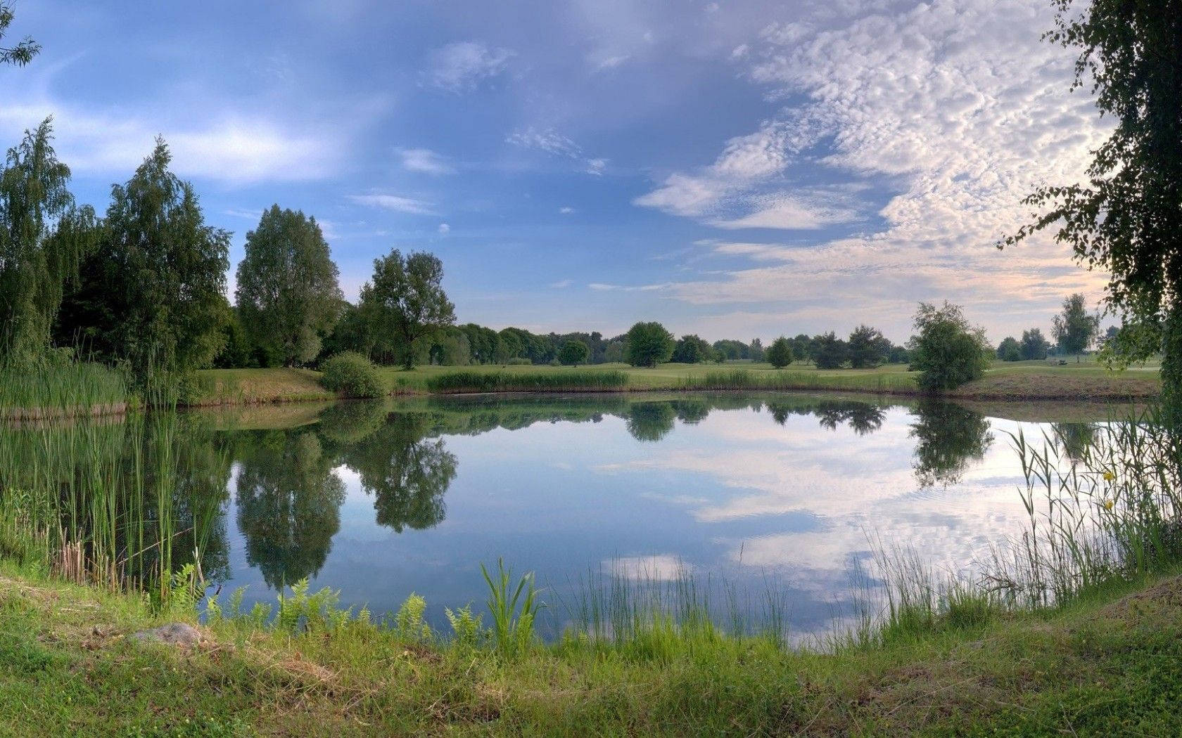 Lake View With Trees Reflection Wallpaper