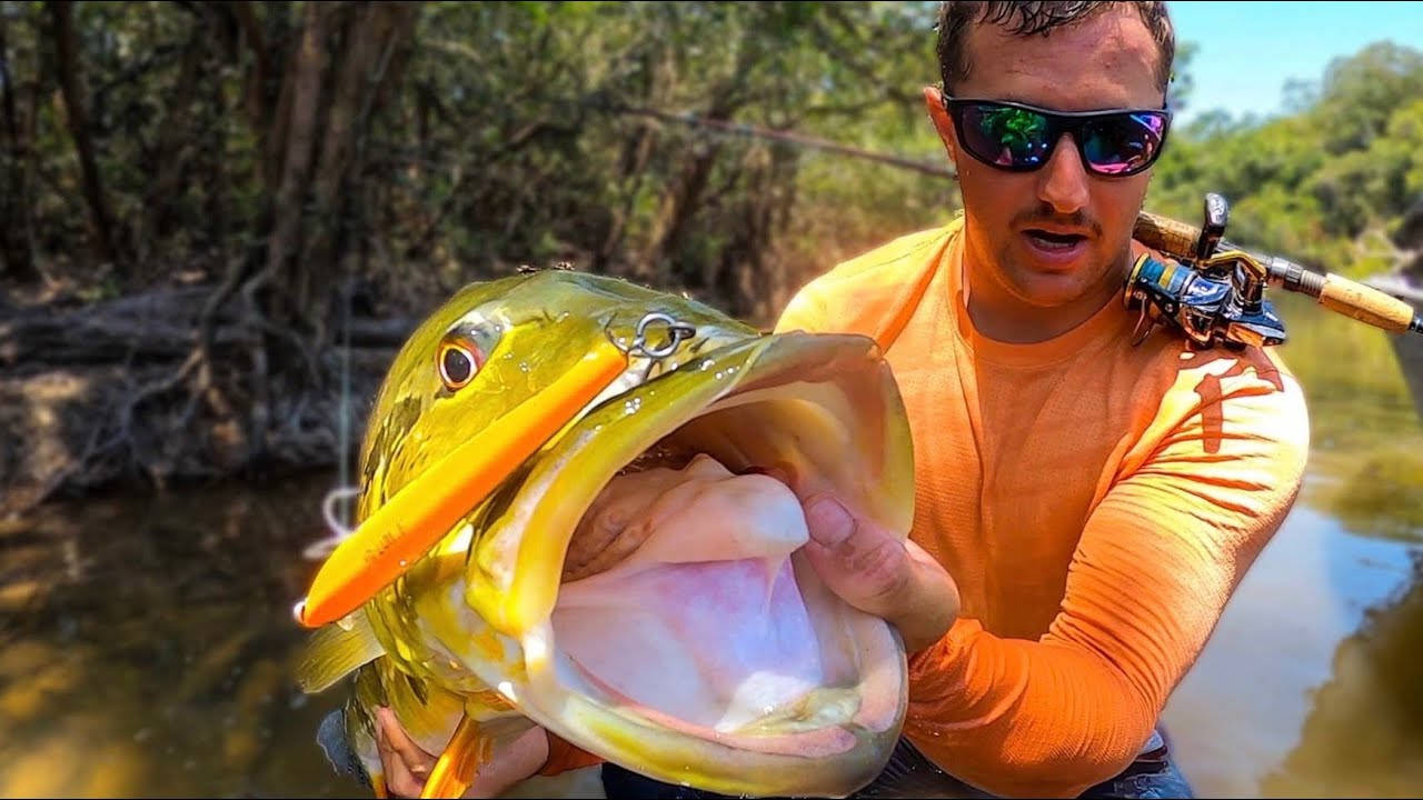 Largemouth Bass Caught In The Lake Wallpaper