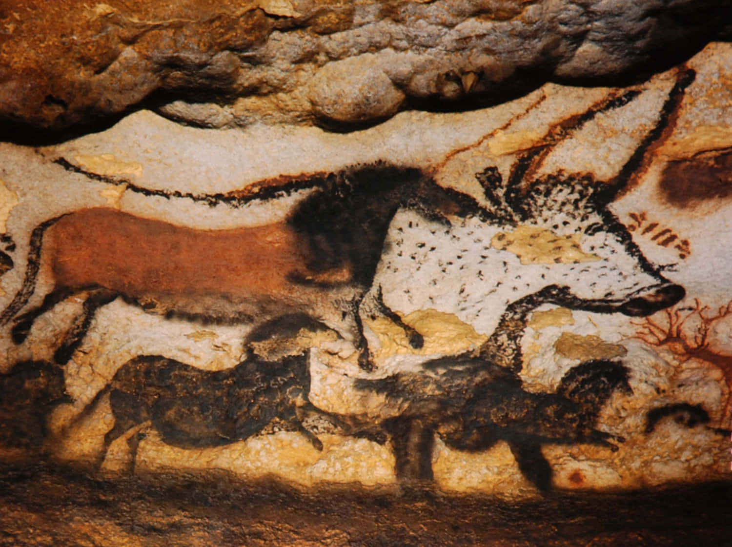 Lascaux Caves Wallpaper