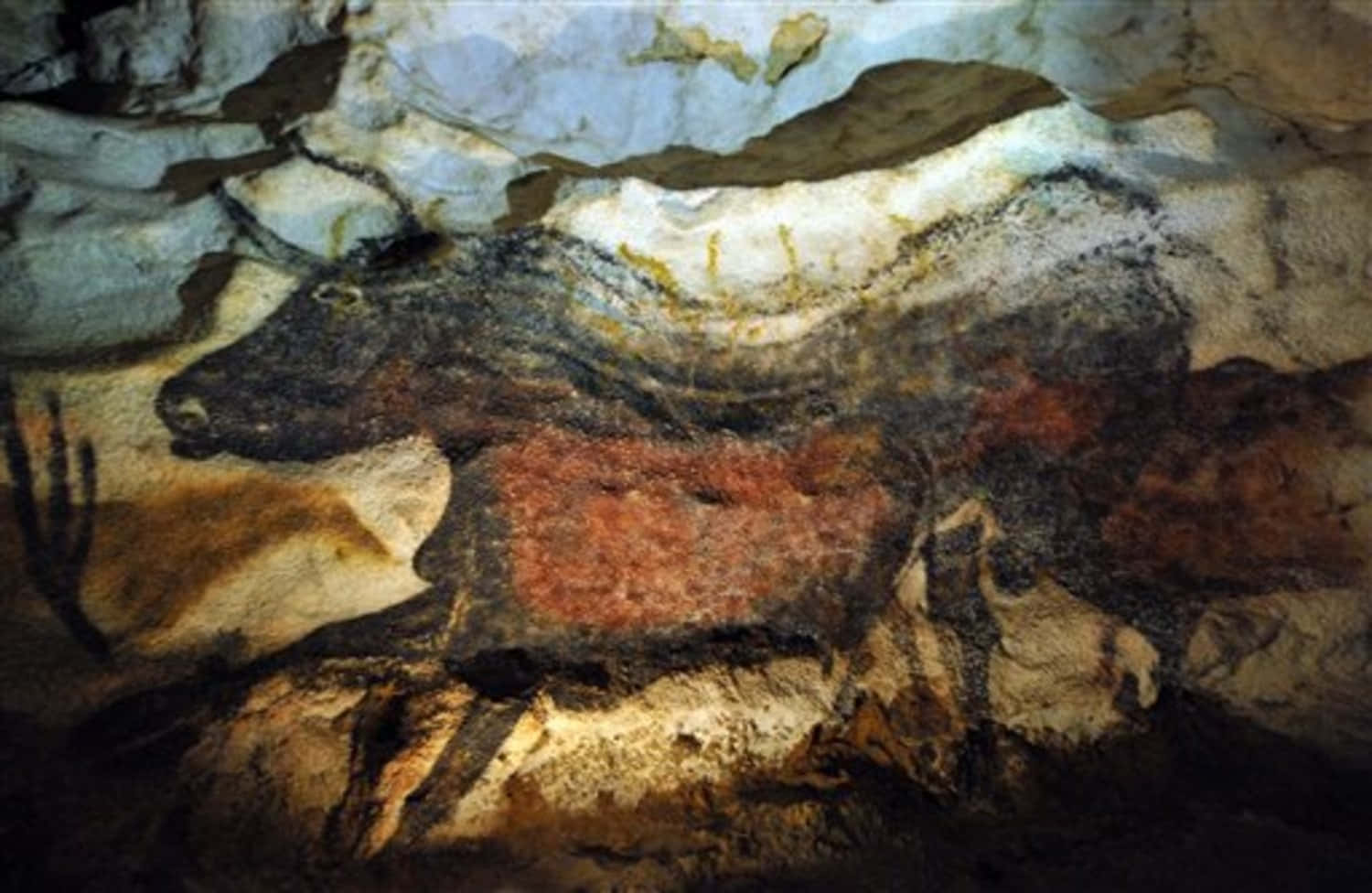 Lascaux Caves Wallpaper