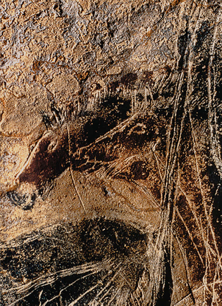 Lascaux Caves Wallpaper